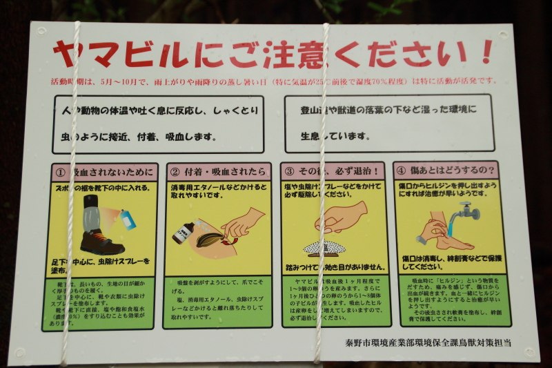 19.二俣_ヤマビル注意