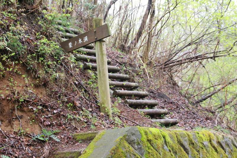 3.上秦野林道_栗ノ木洞