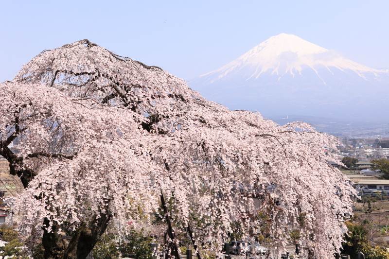 風景JPG