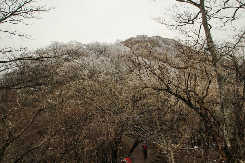 71.金冷し-塔ノ岳_登山道からの景色1