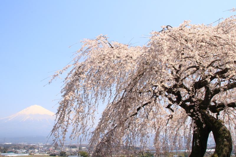 先照寺2
