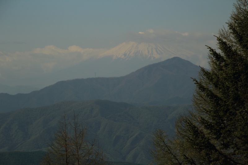 七ツ石山からの富士山