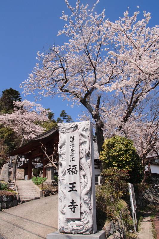福王寺6