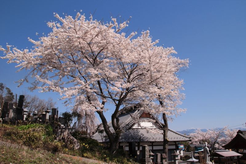 福王寺4
