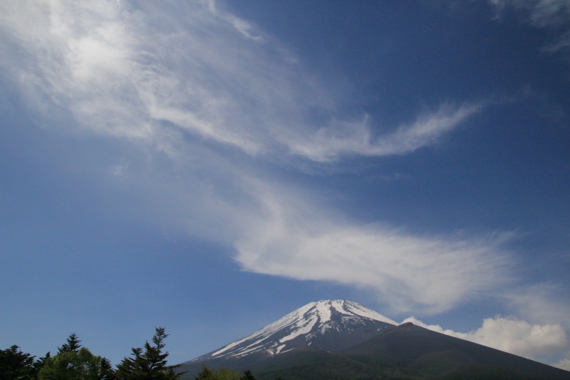 水ヶ塚公園_富士山1