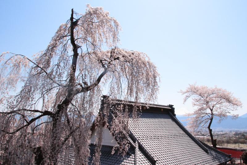 福王寺1