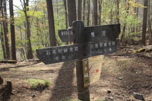 ブナ坂
