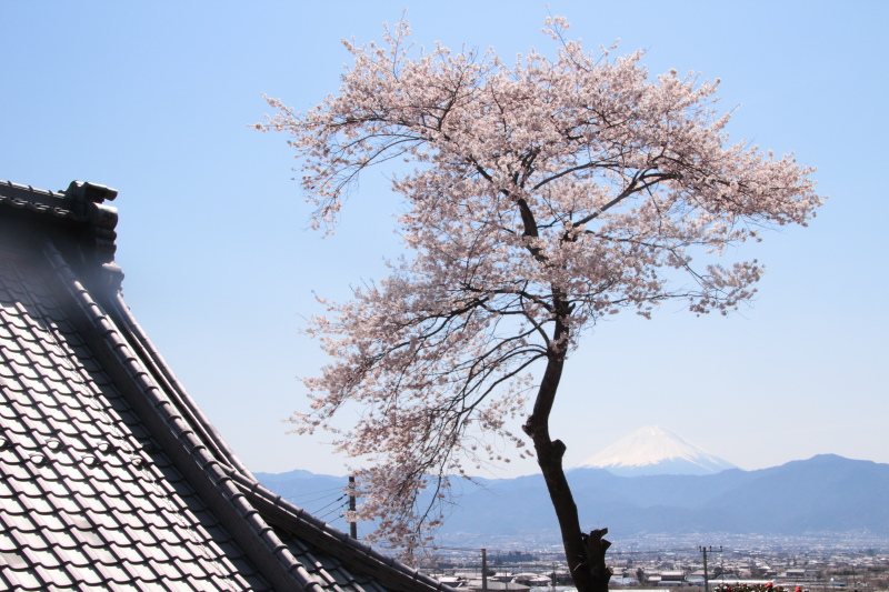 福王寺2