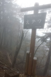 大ダワ