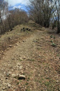 鷹ノ巣山への登り