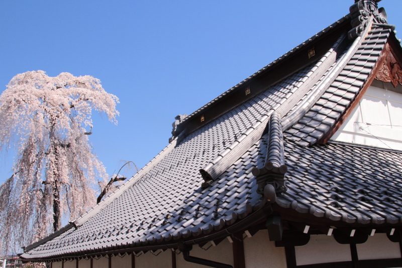 福王寺3