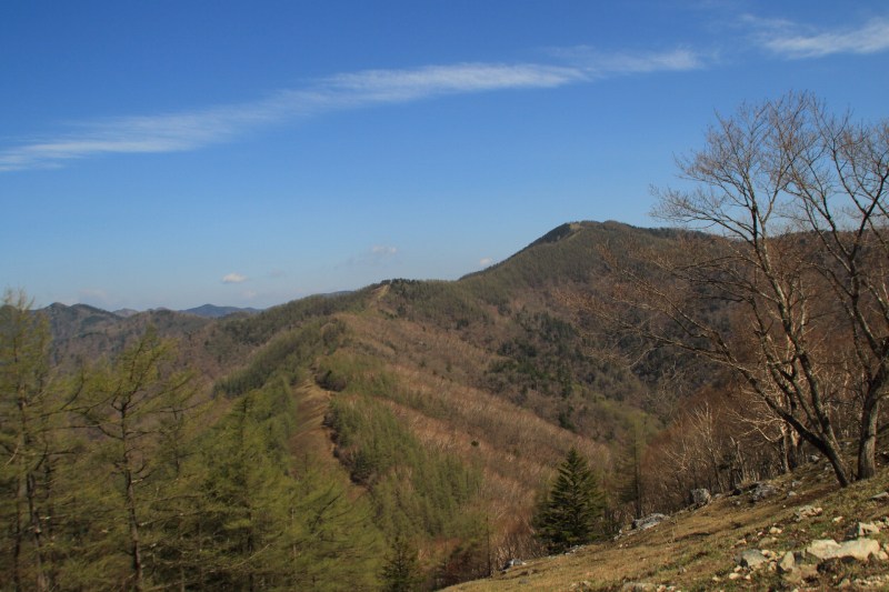 七ツ石山からみた雲取山