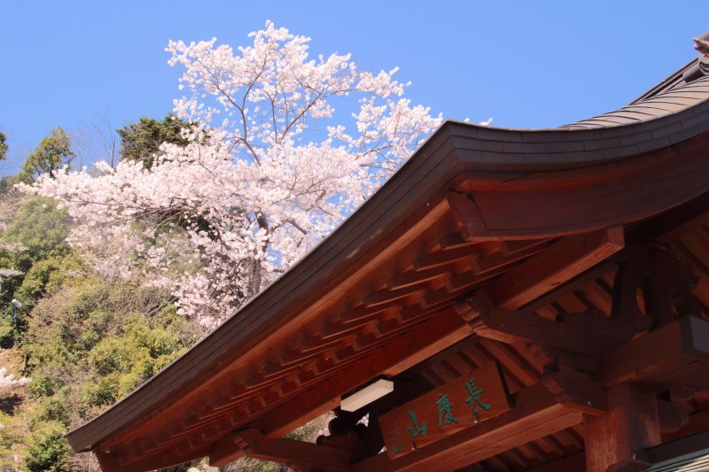 福王寺5