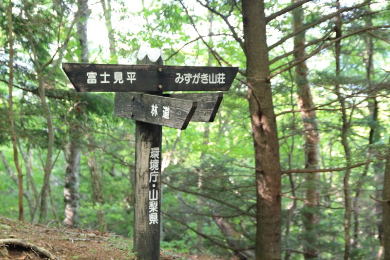 16.瑞牆山荘-富士見平_林道分岐道標