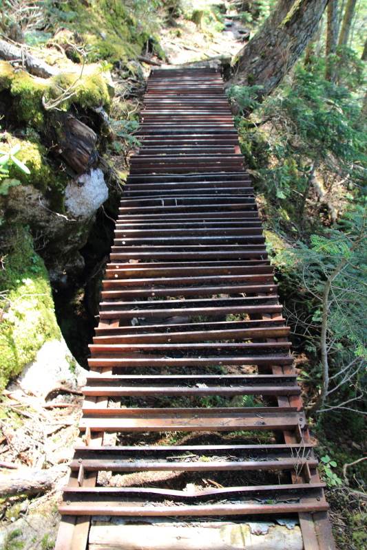 111.金峰山小屋-金峰山小屋分岐_橋