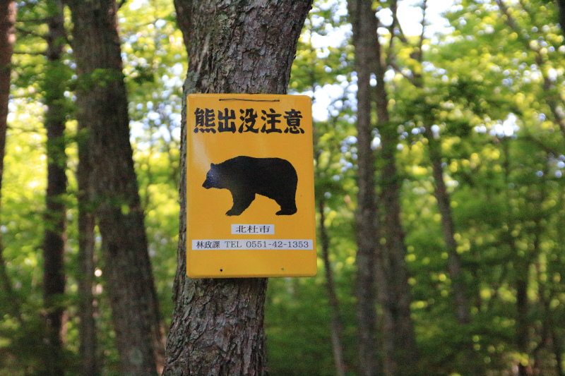 3.瑞牆山荘-富士見平_熊出没注意