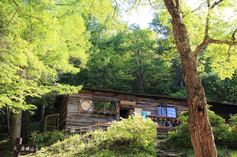 23.富士見平_新緑の富士見平小屋