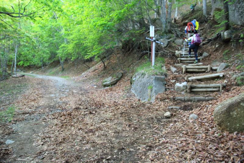 7.瑞牆山荘-富士見平_林道