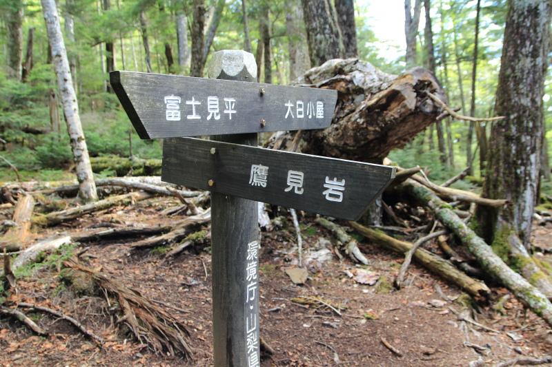 43.富士見平-鷹見岩_鷹見岩分岐