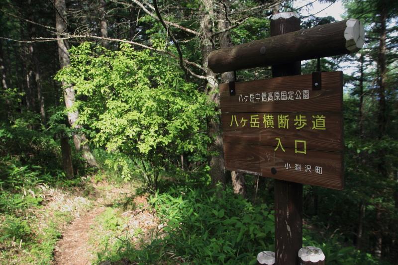 八ヶ岳横断歩道入口