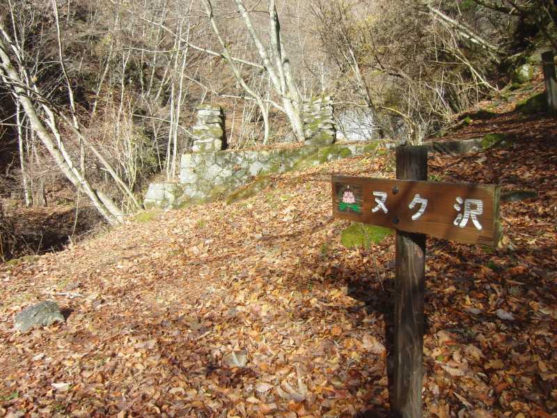 3.甲武信ヶ岳_ヌク沢