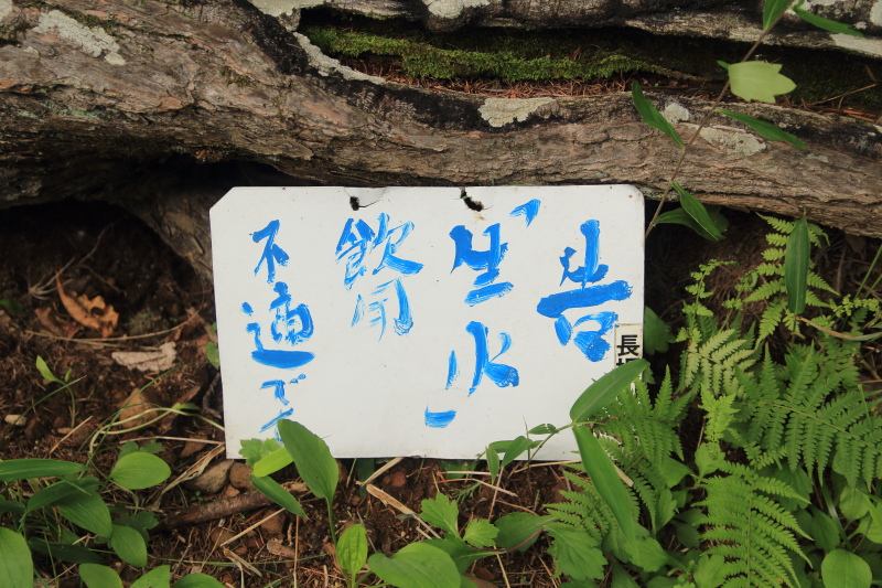 延命水は生水はダメ