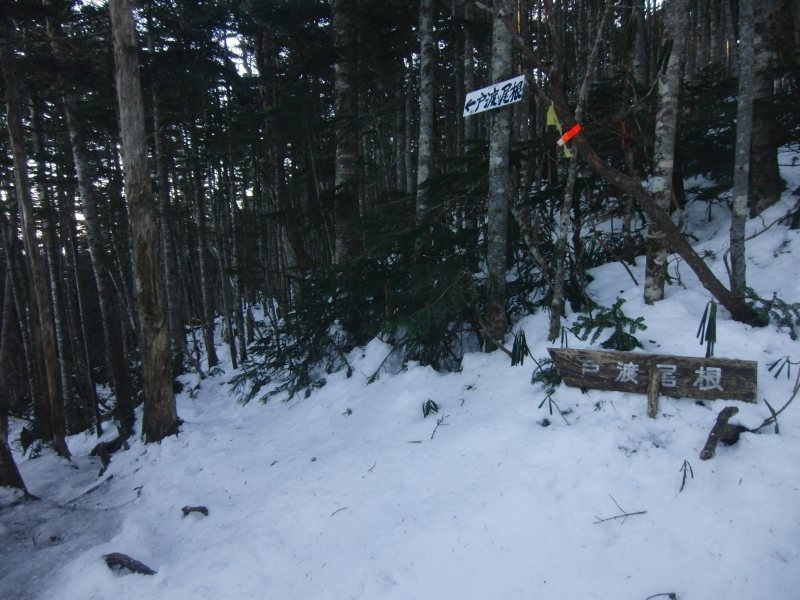 18.甲武信ヶ岳_戸渡尾根の雪