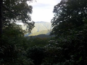 樹林帯からのぞく山