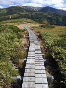 薬師峠に向かう木道