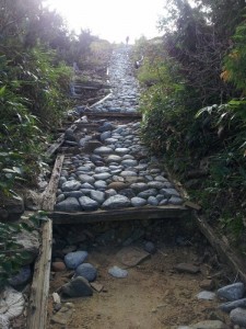 石が敷きつめられた道
