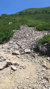 駒津峰から双児山方面に降りてきた道