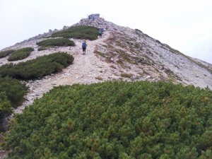 薬師岳山頂間近