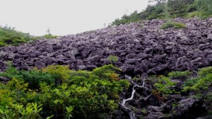 仙水峠手前の岩場