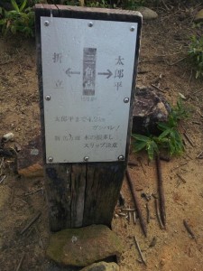 1871mの三角点