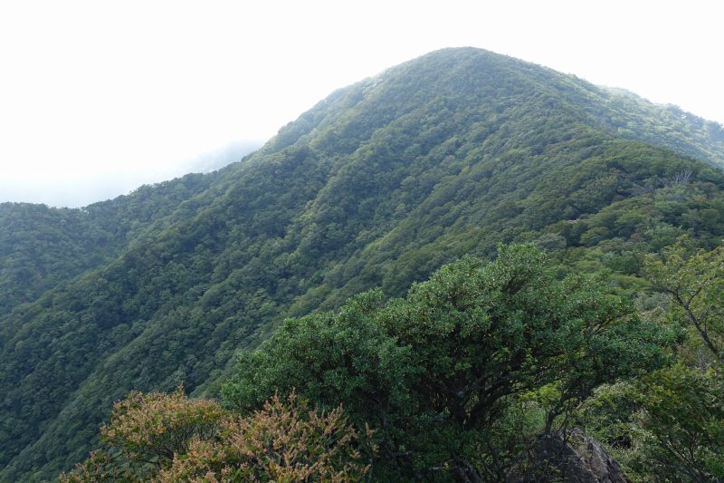 万二郎岳手前からみた万三郎岳