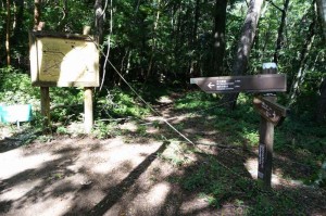 菅引林道方面への道