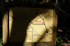 菅引林道への分岐