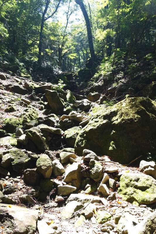 涸沢分岐点の先の沢