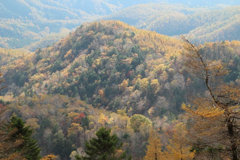 1329_山並みの紅葉1