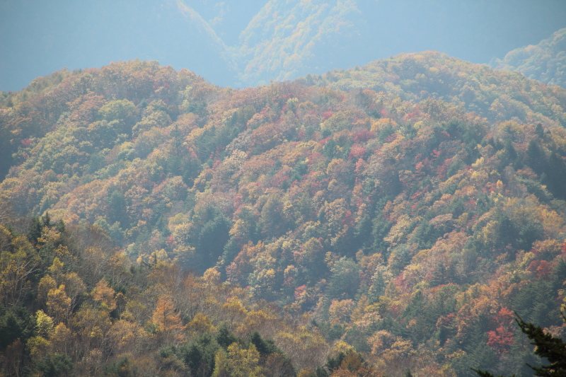1329_山並みの紅葉2