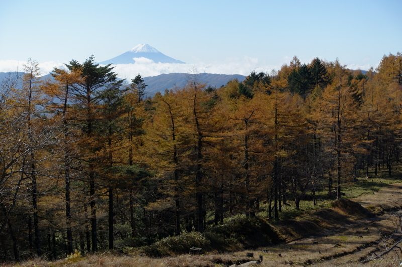 1001_小さな分水嶺からの冨士山