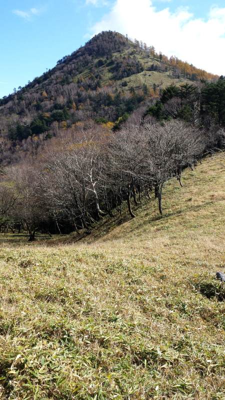 1018_雁峠からの笠取山