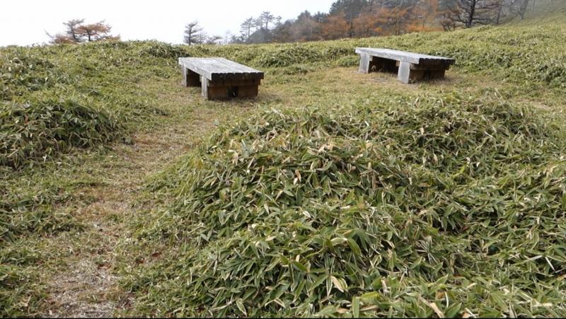 1156_古礼山山頂下のベンチ