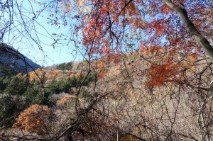 下山時の紅葉