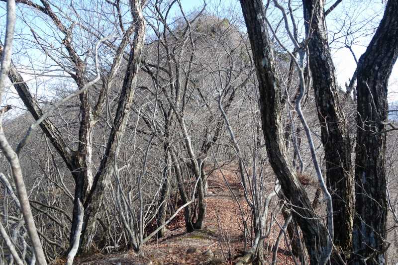 滝子山への最後の登り