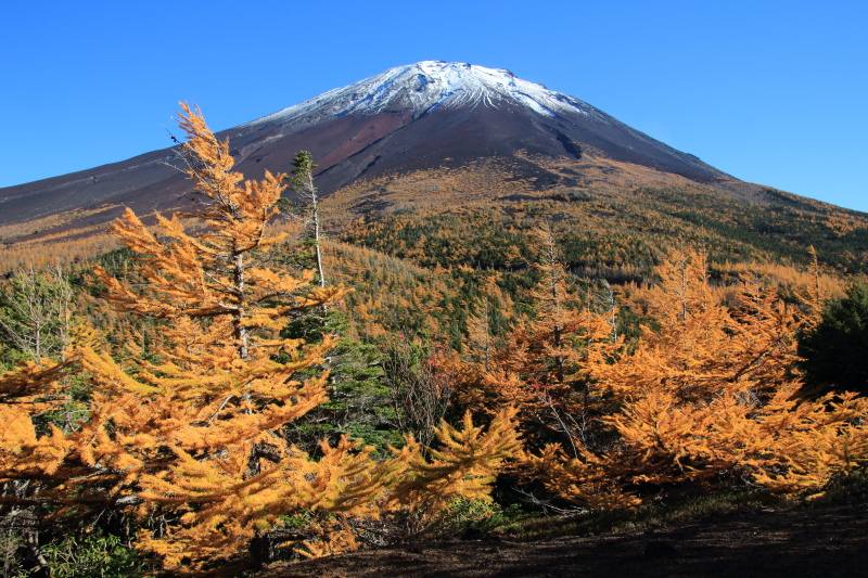 富士スバルライン奥庭の紅葉 ソライロノヲト