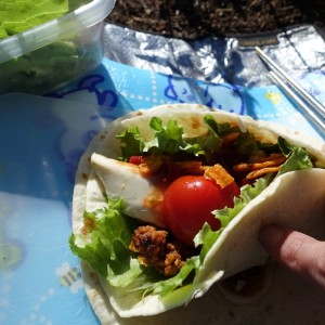 トルティーヤ de 山ごはん