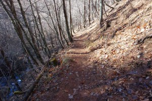 沢沿いの登山道