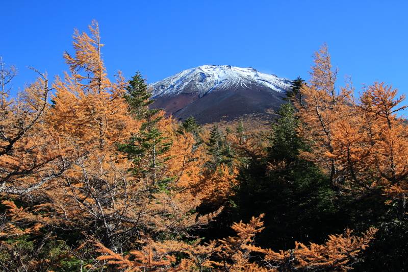 富士スバルライン奥庭の紅葉 ソライロノヲト