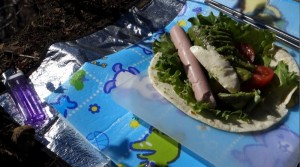 アボカドサラダトルティーヤ_工程2